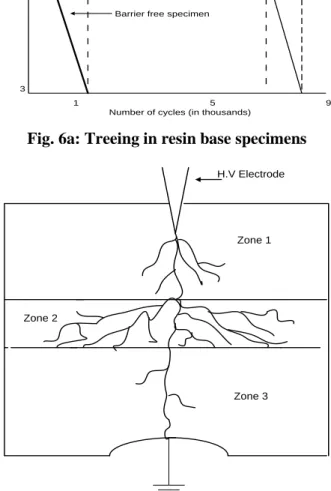 Fig. 6b: Tree pattern in resin base specimens 