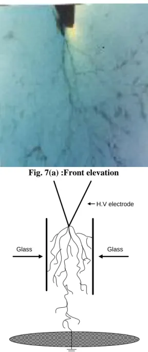 Figure 7 Tree growth in a specimen containing a glass  barrier at 0 0. 