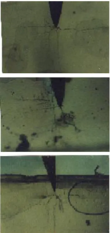 Fig. 9:  Tree growth in a specimen containing glass  barrier at 90 0