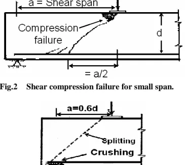 Fig. 3:  True shear failure.