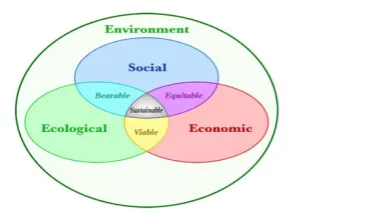 Fig 1.1: The “three pillars” of sustainability bounded by the environment
