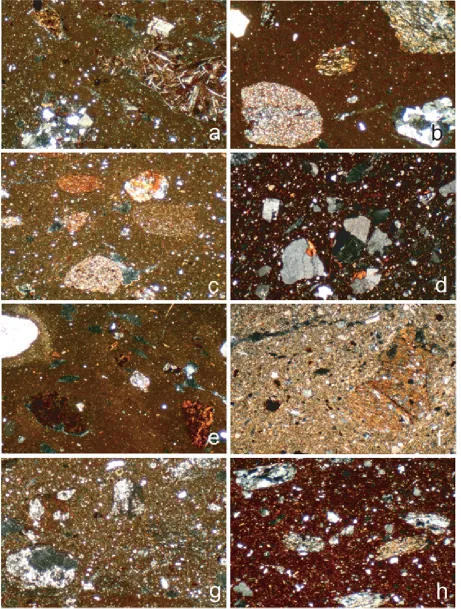 Figure 3. Thin-section micrographs of LM transport jars from Kommos: (a) fabric A (Kommos 98/1); (b) fabric A (Kommos 98/27); (c) fabric A (Kommos 98/9); (d) fabric B 