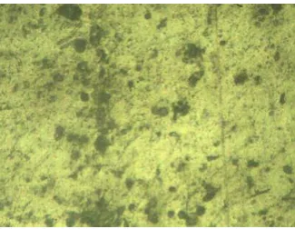 Fig. 4, Micro structural view of sample prepared by 10%wt of  bore sand  