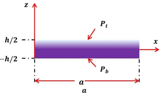 Figure 2: Schematic diagram of a FG plate. 
