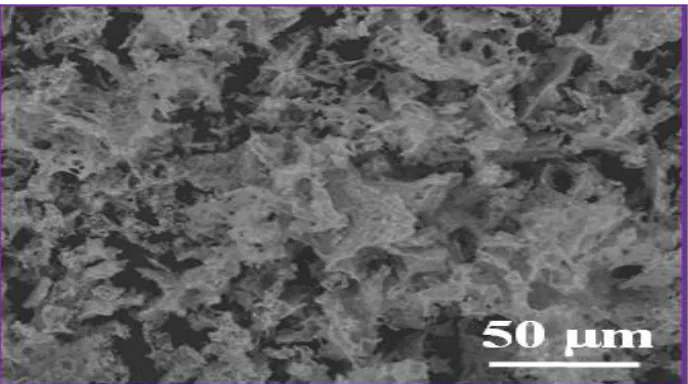 Figure 1.12: SEM micrograph of unsintered homogeneous LTA at 30µm scale 