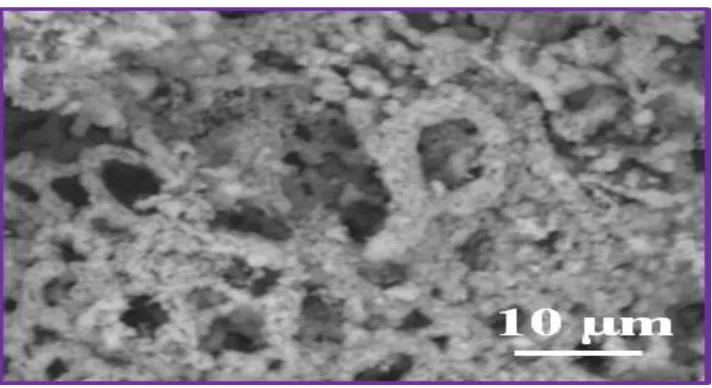 Figure 1.14: SEM micrograph of unsintered homogeneous LTA at 100µm scale 