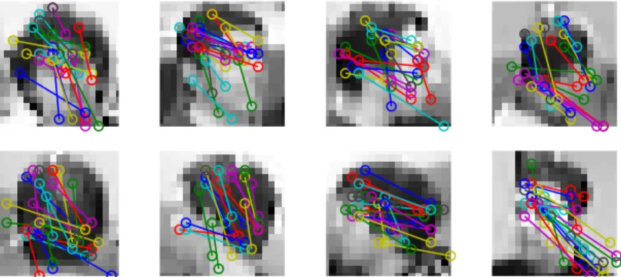 Figure 3.33: iDF classifier from [Siriteerakul et al., 2010]: 20 most powerful pixel pairs per head pose class for a one-vs.-all multiclass Random Forest.