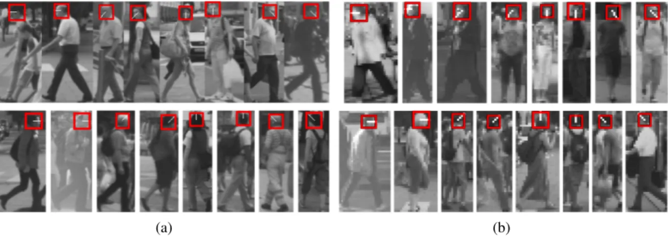 Figure 3.39: Correct results using MCT features for pedestrian heights of 140 pixels (a) and 50 pixels (b)