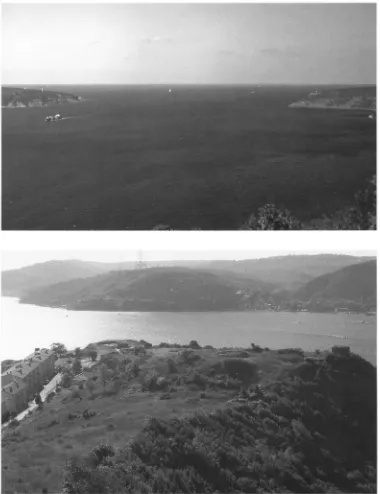 Figure 4 (top). The Black Sea, from Hieron 