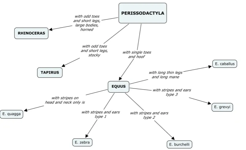 Figure 6: Radial concept map of concept: Perissodactyla drawn using Cmap-Tools™. 