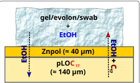 Fig. 1 Overview of Cis applied from the top and swells the system briefly. pLOC17−Znpol bilayer model systems