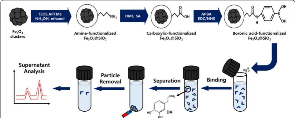 Figure  2pared samples for each step of the synthesis process. The  Fe illustrates the FTIR spectra of the as-pre-O@SiO presented FTIR bands that corresponded 
