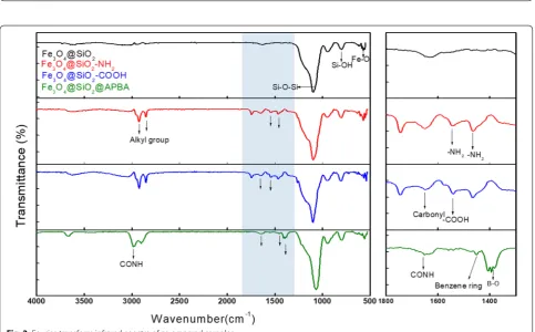 Fig. 1 a Scanning electron microscopy image of  Fe3O4@SiO2 and b transmission electron microscopy images of  Fe3O4@SiO2