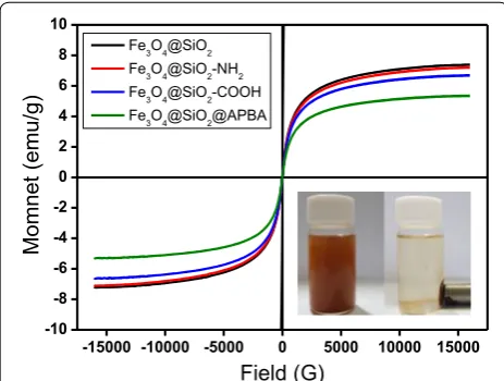 Fig. 3 Hysteresis loops of as‑prepared samples featuring different surface functional groups