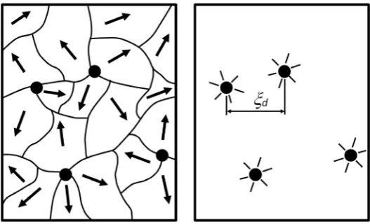 Figure 1: Left: a typical domain pattern of lying people. With arrow we indicate an average orientation within a domain