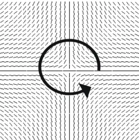 Figure 2: Topological defect with M=1.