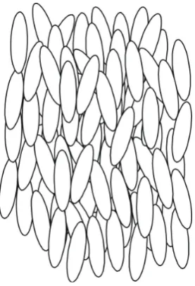 Figure 4: In the nematic phase rod like molecules tends to be locally parallel.