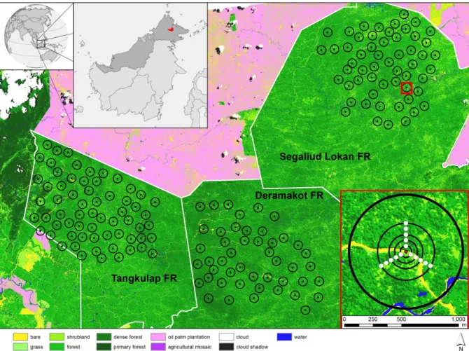 Figure 3.1: Map of the study site in Sabah, Malaysian Borneo. 