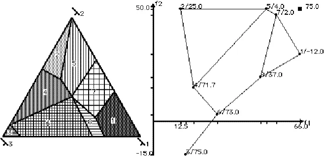 Figure 1 - Graphs produced by TRIMAP, decomposition of the weights space and projection of the objective function.