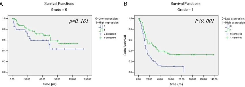 Figure 3. Kaplan-Meier survival analysis of RNF43 expressed in a subset of Glioma patients with different age (log-rank test)