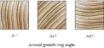 Figure 1.Figure 1. The arrangement of the three general annual growth ring orientations in the cross-section of the samples