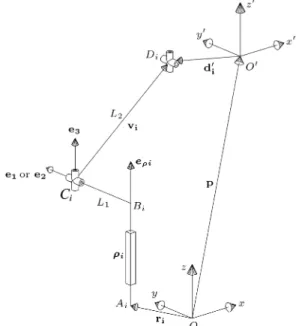 Figure 5. Schematic representation of a PRUR 2 limb.