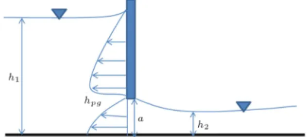 Figure 2. Schematic of the ow domain past sluice gate.