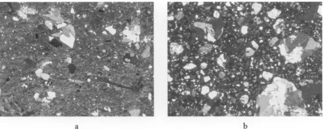 Figure  5. Photomicrographs  of  (a) Kavousi  93/5  (goddess  24),  group 