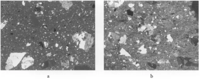 Figure  7. Photomicrographs  of  (a) Kavousi  93/6  (goddess  17), group  4,  illustrating  granodiorite  inclusions 