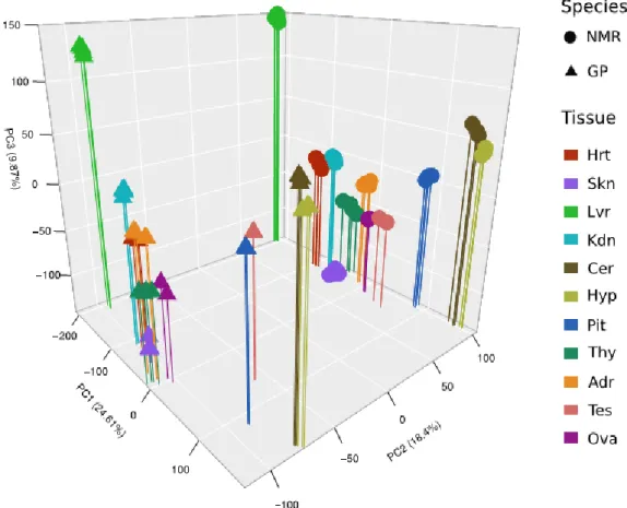 Figure  1:  Principle  component  (PC)  analysis  based  on  logarithm  of  mean  expression level between replicates (four datasets per tissue and species: 