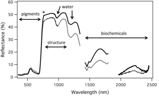 Fig. 2  Canopy reflectance spectra for deciduous poplar (spruce (water content, biochemical content, and leaf or canopy structure