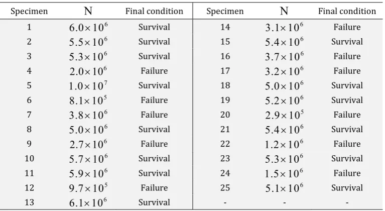 Table 3: Final condition for each tested specimen. 