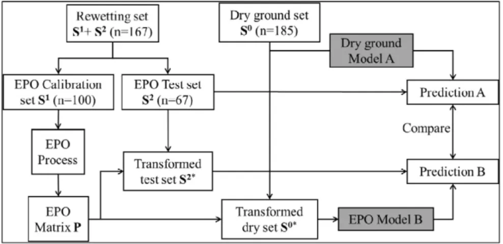 Fig. 1 shows the ﬂow chart of model calibration and validation in this study. First, the dry ground set (S 0 ) was used to calibrate a dry ground model (Model A)
