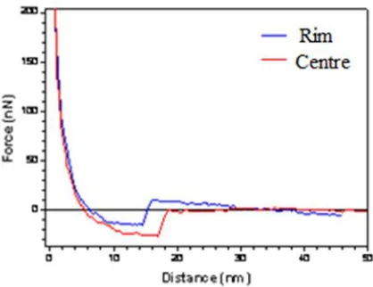 Figure 5 shows the force-distance curves obtained from the cross section of the trilobal PET