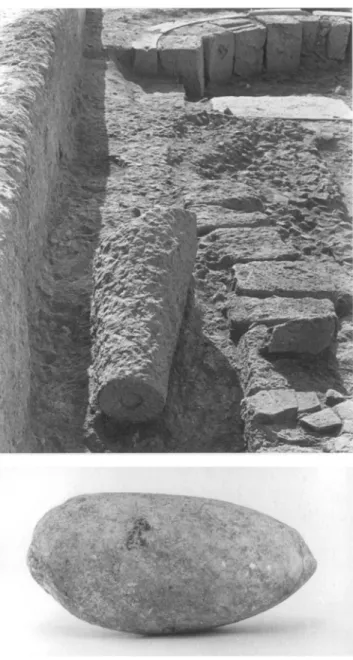 Figure  5  (above,  right). Marble  trun 