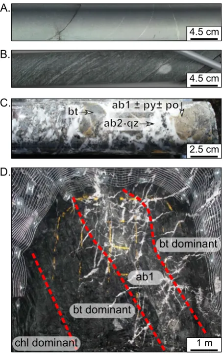 Fig. 3. Mineralogical zones of Paringa Basalt related to the Hamlet Shear Zonewhich represent ore-distal to ore-proximal facies