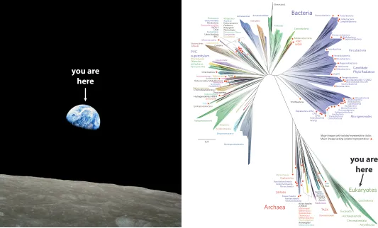 Figure 1. Comparison of Overview Effects. Left: the astronomical overview effect evoked by “Earthrise” taken on 24 December 1968 by astronaut William Anders during Apollo 8