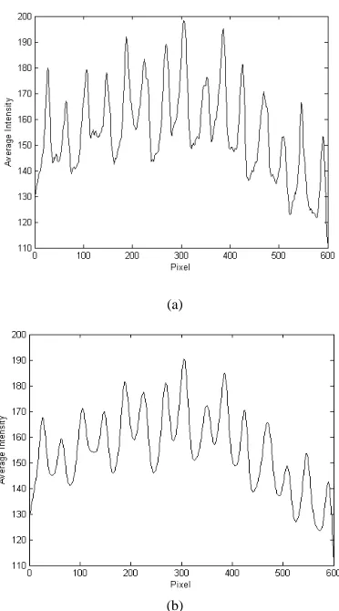 FIGURE 4. Fabric image intensity: (a) before and (b) after noise  reduction. 
