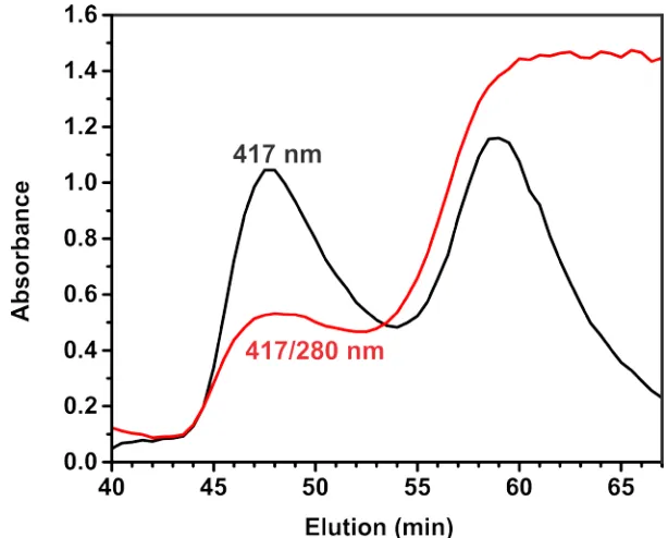 Figure 2.9:  Size-exclusion chromatograph of the P450nikQ/L-his-NikP1AT complex.  The profiles show P450nikQ (black) and the P450nikQ/L-His-