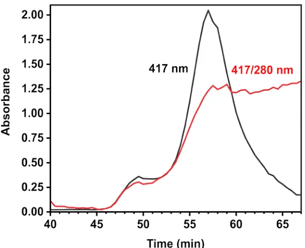 Figure 2.10:  Size-exclusion chromatograph of the P450nikQ/L-his-NikP1AT complex.  The profiles show P450sky (black) and the P450sky/L-His-