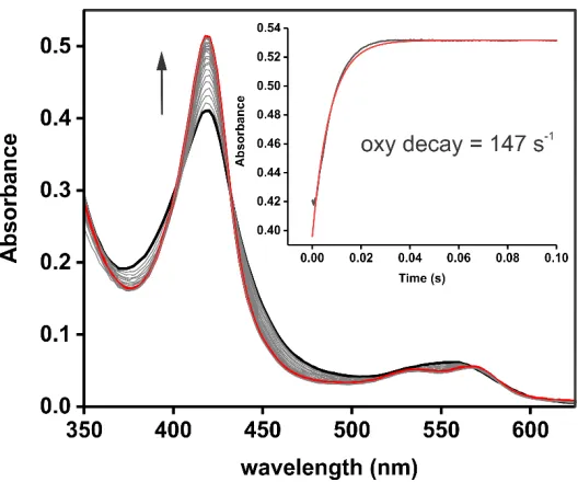 Figure 2.7:  Decay of the P450sky oxy complex.  The complex was formed with 5 µM ferrous P450sky mixed with 1 mM molecular oxygen on the 