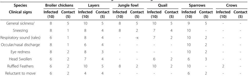 Table 1 Number of infected and contact birds showing clinical disease signs