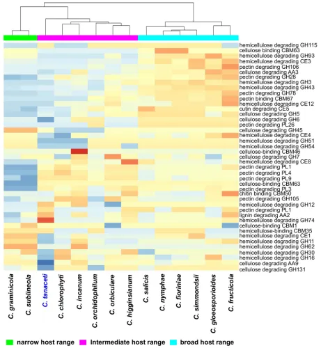 Fig 4. Comparison of CAZyme pathogenicity profiles predicted for Colletotrichum species