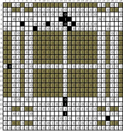 FIGURE 31. Final weave pattern.  