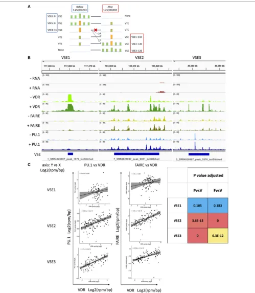 FIGURE 2 | The classiﬁcation of VSEs and their association with the region and density of PU.1 and FAIRE.VSE4–6 exist without 1,25(OH)SE; yellow bar, high read density in narrow region identiﬁed as SE; read density of bar, yellownumber of locations observe