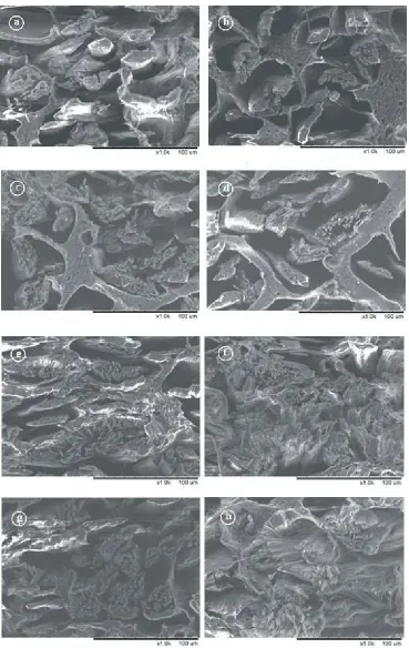 FIGURE 17.  SEM contrast diagram of the modified microfiber synthetic leather base with NH2the unmodified base