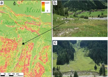 Fig. 4. Terrain features in the run-out zone. Panel (a) shows terrain roughness, as deﬁned by Sappington et al