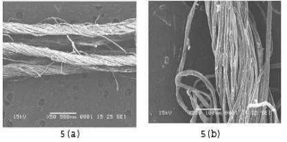 FIGURE 5(a) SEM of 80R   5 (b)SEM of Bleached and Enzyme treated 80R.  