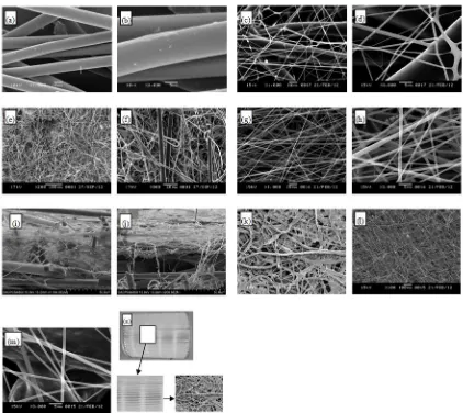 FIGURE 6. SEM figures of substrate and electrospinning nanofiber composite filtration material