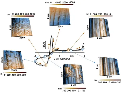 Figure 2.5. AFM images of a slow scan (10 mVs-1) cyclic voltammogram of Cu(NO3)2 (100 µM) in tris buffer taken at six different points along the scan